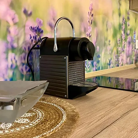 Donaustern Пассау