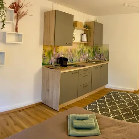 Donaustern Apartament *