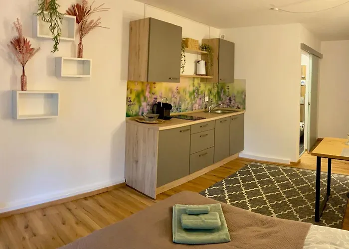 Donaustern Apartament *